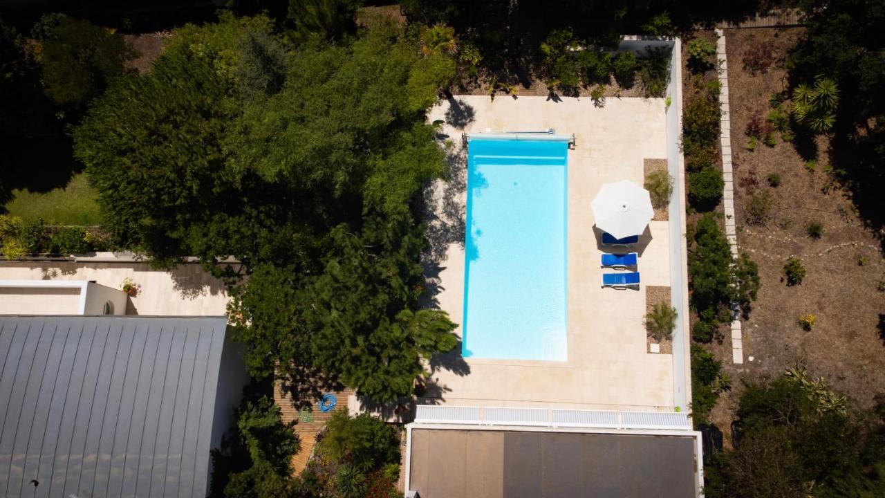 Edles Apartment In Architektenvilla Mit Grossem Pool, Sauna, Dachterrasse Und Malerischem Garten Pataias Exteriör bild